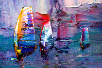 The Art Of Windsurfing von Miki de Goodaboom