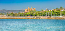 Cathedral La Seu in Palma de Mallorca, Spain, Balearic Islands by Alex Winter