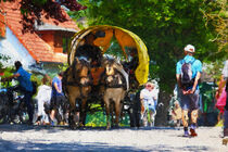 Pferdekutsche in Kloster. Insel Hiddensee. Ostsee gemalt. by havelmomente