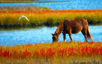 Pferd grast auf Weise. Boddenlandschaft Insel Hiddensee. Gemalt. by havelmomente