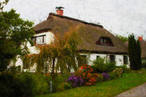 Reedhaus aus Insel Hiddensee. Bauerngarten. Gemalt. by havelmomente