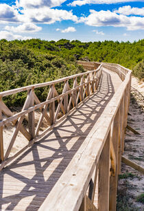 Mallorca, Holzbrücke durch die Sand-Dünen Landschaft in der Bucht von Alcudia by Alex Winter