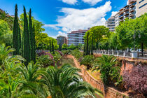 Majorca, citycape with water canal stream and park in Palma de Majorca, Spain by Alex Winter