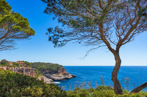 Mallorca, view of mediterranean sea island scenery, beautiful coast of Santanyi, Spain Balearic Islands by Alex Winter