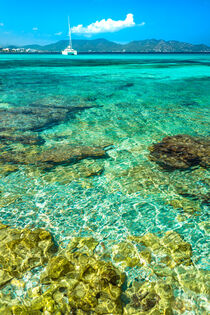 Clear sea water at seaside of Cala Millor on Mallorca island, Spain by Alex Winter