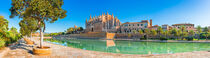 Panorama view of Cathedral La Seu at the historic city center of Palma de Mallorca von Alex Winter