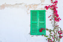 Old white house wall background with closed green window shutters, bougainville of mediterranean house by Alex Winter