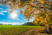 Beautiful fall landscape nature by Alex Winter