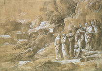 The Raising of Lazarus  von Polidoro da Caravaggio