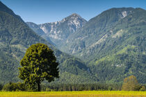 Hochobir in Südkärnten by Stephan Zaun