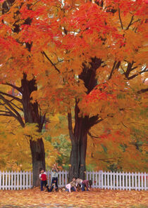 Throwing Leaves, Jericho, Vermont von George Robinson