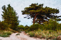 Kiefern am Strand von Insel Usedom. Gemalt. by havelmomente