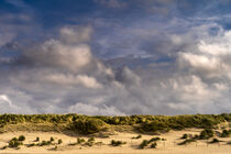 Dünenlandschaft in den Niederlanden by Stephan Zaun