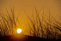 Sonnenaufgang hinter einer Düne von Stephan Zaun