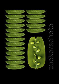 FoodART - Zuckerschote von Erich Krätschmer