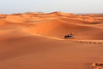 Abends in Marokkos größter Dünenregion, dem Erg Chebbi by Ulrich Senff