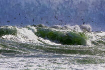 Stormy baltic sea coat. waves ansd seaguls flying. painted. von havelmomente