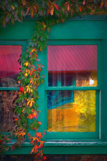 Green Window Panes von William Schmid
