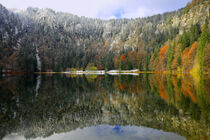 Feldsee Schwarzwald von Patrick Lohmüller