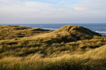 Sweeping dune landscape  by LE-gals Photography