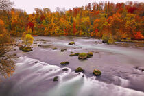 Rhein im Herbst by Patrick Lohmüller