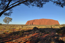 Ayers Rock von markus-photo