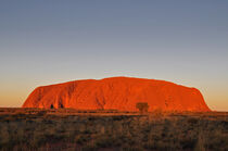 Uluru von markus-photo