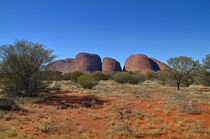 Olgas by markus-photo