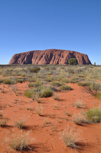 Ayers Rock von markus-photo