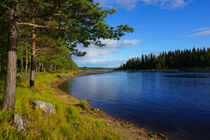 Schweden am Fluss Vindelälven in Lappland by Mellieha Zacharias