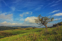 Hegaulandschaft mit Blick auf den Hohenkrähen - Singen a. Hohentwiel by Christine Horn