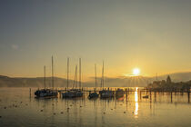 Ankernde Boote vor Bodman im Morgenlicht - Bodensee by Christine Horn