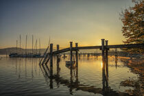 Steg in Bodman im Morgenlicht  Bodensee von Christine Horn