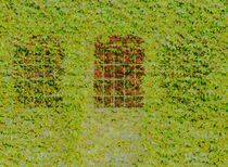 Glitch art on window with grating covered with ivy von susanna mattioda