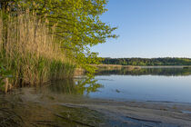 Pond near Mönau in the Upper Lusatian Heath and Pond Landscape by Holger Spieker