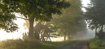 Foggy summer morning near Pfaffendorf- Saxon Switzerland von Holger Spieker