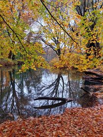 Herbst in Berlin by Raingard Göbel