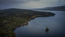 Lakeshore with forest at a lake in Lapland in Sweden from above by Bastian Linder