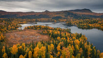 Lake and mountains with trees in autumn along the scenic Wilderness Road in Jämtland in Sweden from above by Bastian Linder