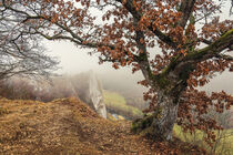 Aussichtspunkt Burgstall oberhalb von Fridingen an der Donau - Naturpark Obere Donau by Christine Horn