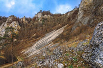 Kalksteinfelsen bei Fridingen im Naturpark Obere Donau von Christine Horn