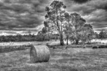 Hay Harvest by Hans-Joachim Goepel