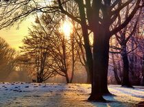 'Frostmorgen' von Edgar Schermaul