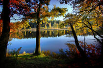 Autumn by Lake 