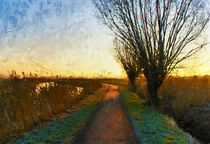 Abendstimmung im Havelland. Kopfweide am Feldweg. Gemalt. von havelmomente