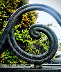 Spider web with water drops von tzina