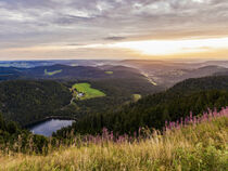 Blick vom Feldberg im Schwarzwald über den Hochschwarzwald von dieterich-fotografie