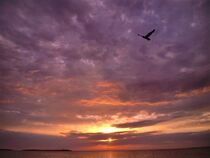 Flug in den Abend von tzina