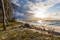 Darßer Weststrand an der Ostsee von dieterich-fotografie