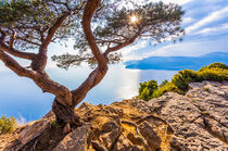 Corniche des Crêtes bei Cassis in der Provence von dieterich-fotografie